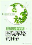 我在八十年代围观军婚的