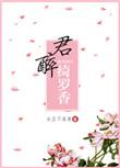 倾城小佳人君醉绮罗香txt