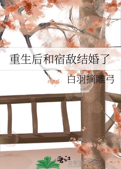 重生后和宿敌结婚了书评