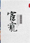 宦宠广播剧百度