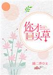 你回头我就要在身后是什么歌