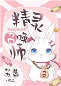 精灵召唤师小