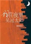 我在夜里见过太阳免费阅读