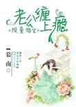 限量婚宠神秘老公坏透了免费