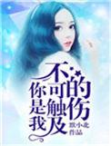 你是我不可触碰的伤是啥歌