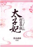 太子妃的荣华路作者秀木成林