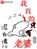 我真的只有一个老婆番外