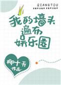 我的墙头千万万
