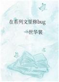在系列文里修bug28
