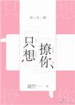 只想撩你无防盗