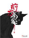 前方高能完整版