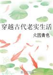 叫穿越古代老实生活