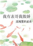 我有表哥我傲娇苏文