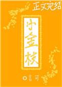 小金枝豫剧团演员表介绍