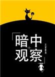 暗中观察 txt