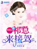 暖婚100全文免费阅读