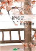 折枝记TXT