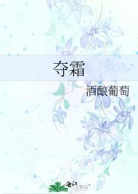 夺霜 酒酿葡萄讲的什么