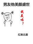 男友他美颜盛世TXT百度资源