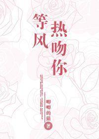 等风热吻你电视剧