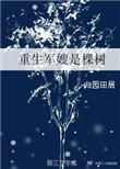 重生是军嫂都有哪些