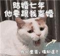 结婚七年他要跟我离婚讲的什么