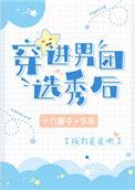 穿进男团选秀后百度