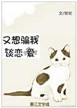 又想骗我谈恋爱 枕衣衫 po