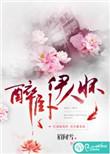 怀壁作者伊人睽睽