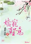 娇宠圣意无防盗
