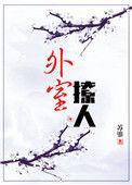 外室撩人苏鎏免费阅读全文