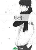 珍贵的宝石泰剧