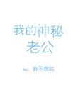 我的神秘老公短剧免费播放