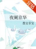 夜阑京华TXT