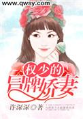 权少的宠妻狂又飒