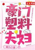 豪门塑料夫妇晋江