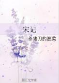 宋记烤面筋加盟费多少钱