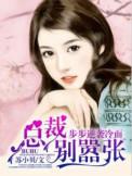 步步痴心冷面总裁柔情妻txt