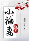 娇宠小福妻百度