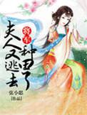 将军夫人又去打劫了