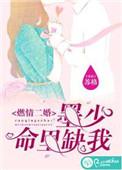 闪婚蜜爱墨少宠妻无节制