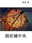 困在城中央by狂上加狂