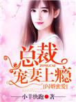 闪婚密爱总裁宠妻上瘾小羊快跑著