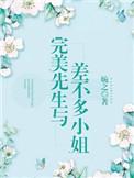 完美先生差不多小姐电视剧免费观看