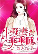 小妻乖乖让我全文免费阅读