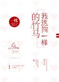 初见情深2k阅读网