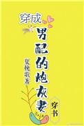 穿成男配的炮灰妻txt