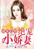 盛世隐婚绝宠小萌妻