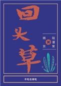 回头草 十二三