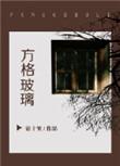 方格玻璃讲什么